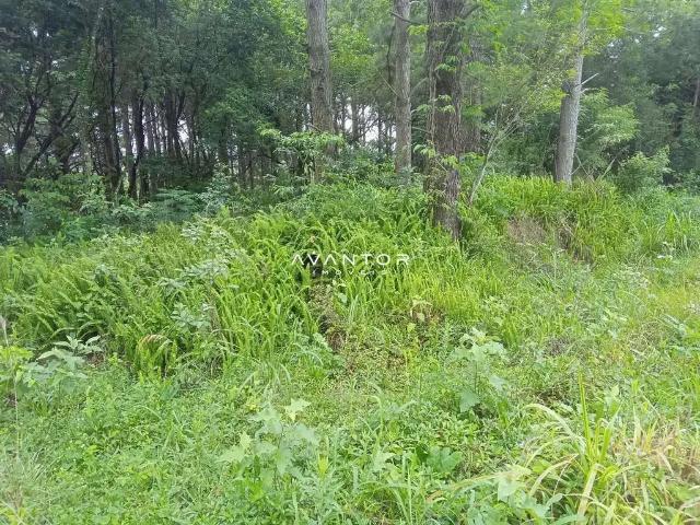 Terreno / Lote para Venda em Santa Maria/RS Nossa Senhora do Perpétuo Socorro