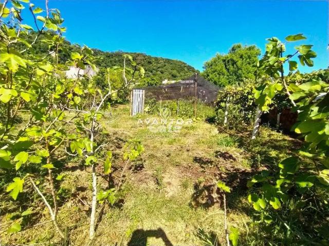 Terreno / Lote para Venda em Santa Maria/RS Nossa Senhora do Perpétuo Socorro