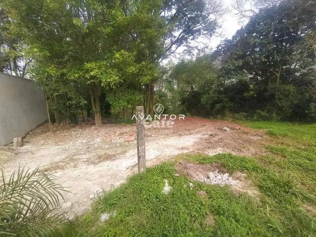 Terreno / Lote para Venda em Santa Maria/RS Nossa Senhora do Perpétuo Socorro