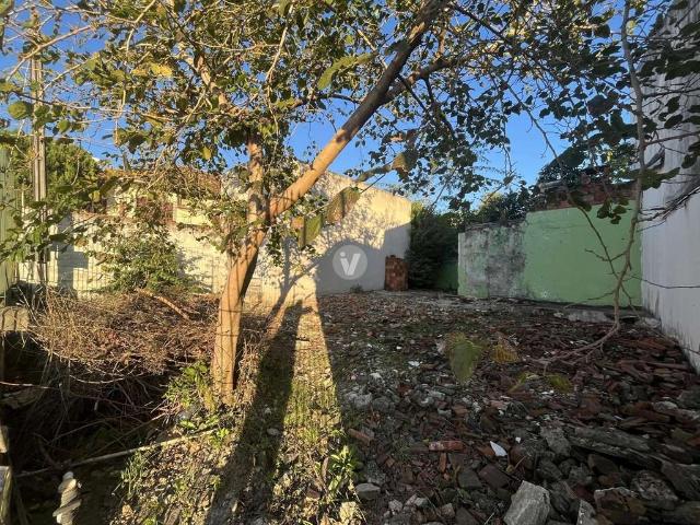 Terreno / Lote para Venda em Santa Maria/RS Nossa Senhora do Rosário