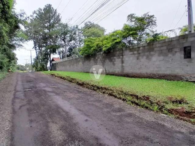 Terreno / Lote para Venda em Santa Maria/RS Nossa Senhora de Lourdes
