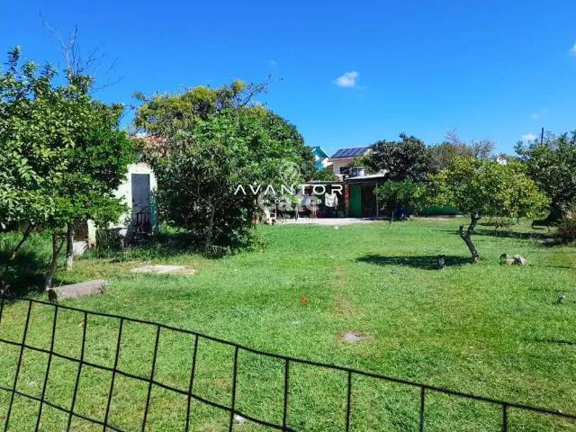 Terreno / Lote para Venda em Santa Maria/RS Nossa Senhora Medianeira