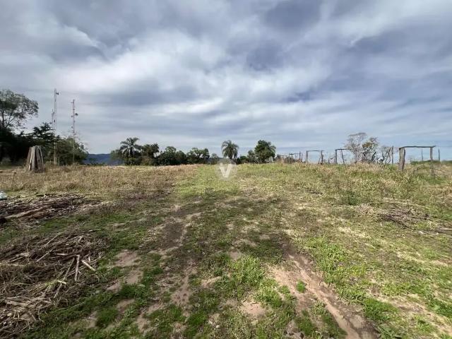 Terreno / Lote para Venda em Santa Maria/RS Arroio Grande