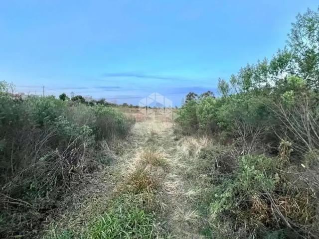 Terreno / Lote para Venda em Santa Maria/RS Boi Morto