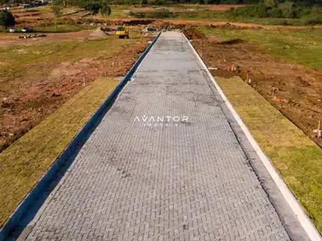 Terreno / Lote para Venda em Santa Maria/RS Boi Morto