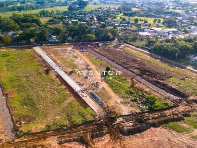 Terreno / Lote para Venda em Santa Maria/RS Boi Morto