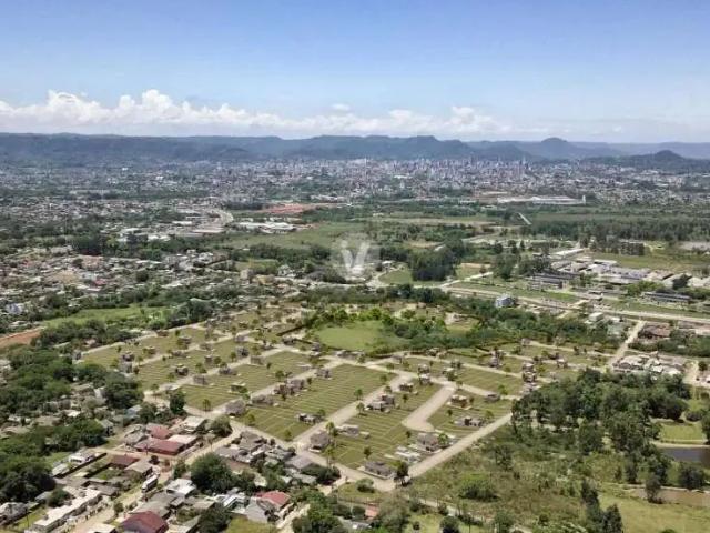 Terreno / Lote para Venda em Santa Maria/RS Boi Morto