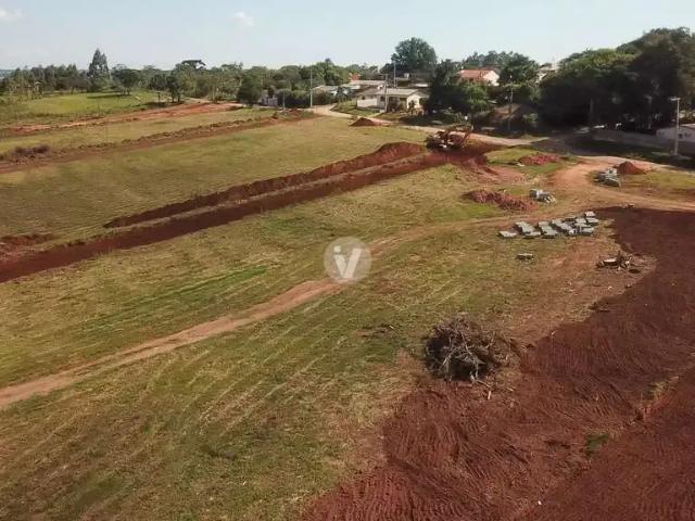 Terreno / Lote para Venda em Santa Maria/RS Boi Morto
