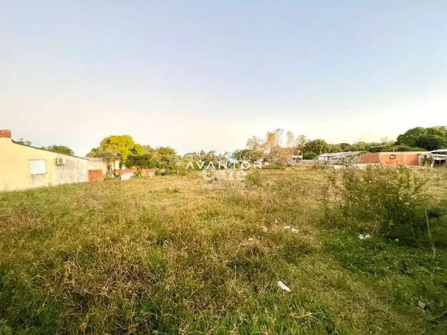 Terreno / Lote para Venda em Santa Maria/RS Boi Morto