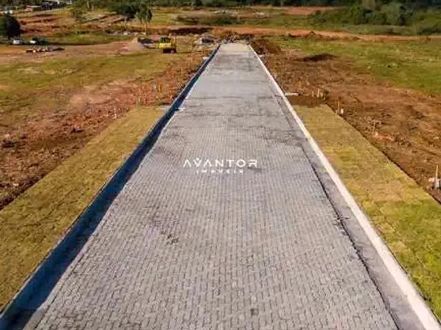 Terreno / Lote para Venda em Santa Maria/RS Boi Morto