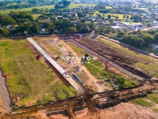 Terreno / Lote para Venda em Santa Maria/RS Boi Morto