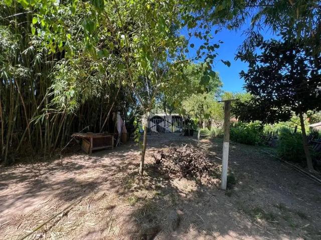 Terreno / Lote para Venda em Santa Maria/RS Boi Morto