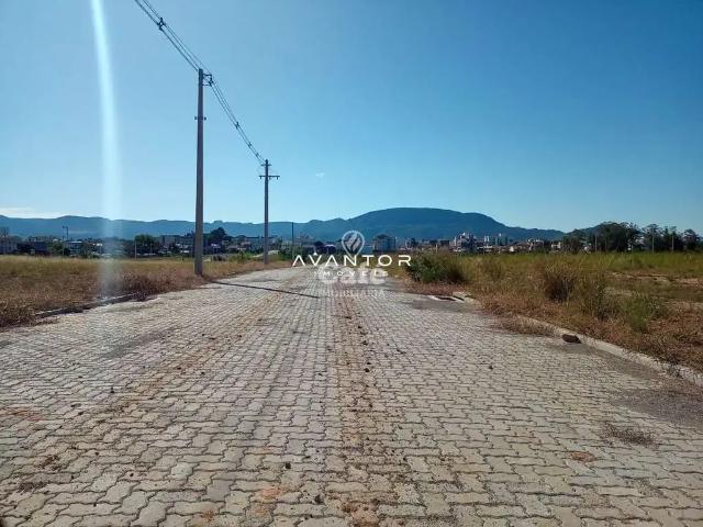 Terreno / Lote para Venda em Santa Maria/RS Camobi