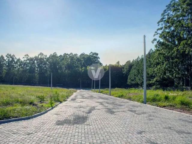 Terreno / Lote para Venda em Santa Maria/RS Camobi