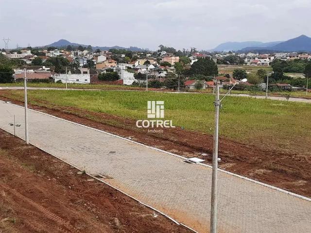 Terreno / Lote para Venda em Santa Maria/RS Camobi