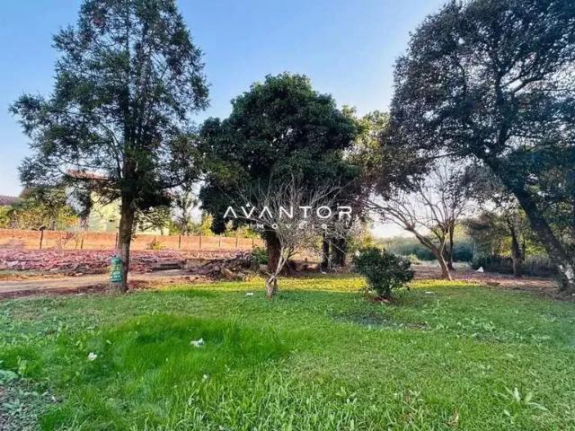 Terreno / Lote para Venda em Santa Maria/RS Camobi