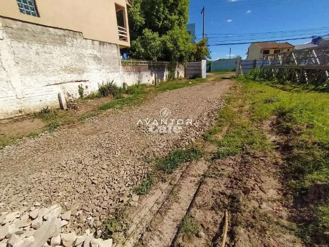 Terreno / Lote para Venda em Santa Maria/RS Camobi