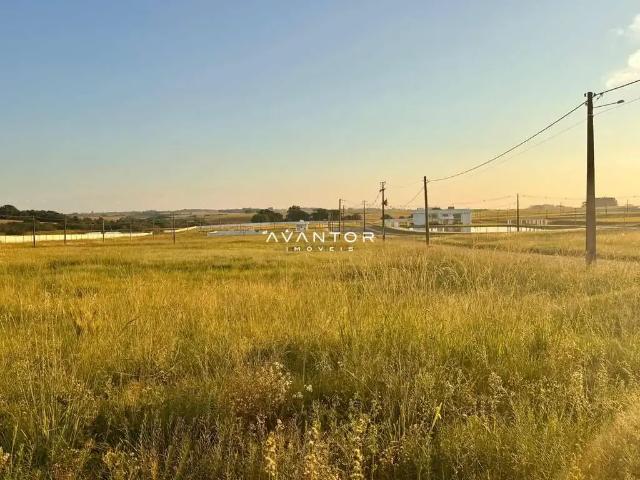 Terreno / Lote para Venda em Santa Maria/RS Camobi
