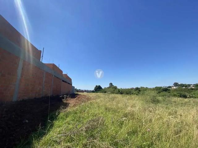 Terreno / Lote para Venda em Santa Maria/RS Camobi