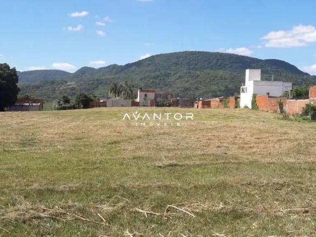 Terreno / Lote para Venda em Santa Maria/RS Camobi