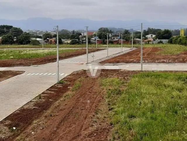 Terreno / Lote para Venda em Santa Maria/RS Camobi
