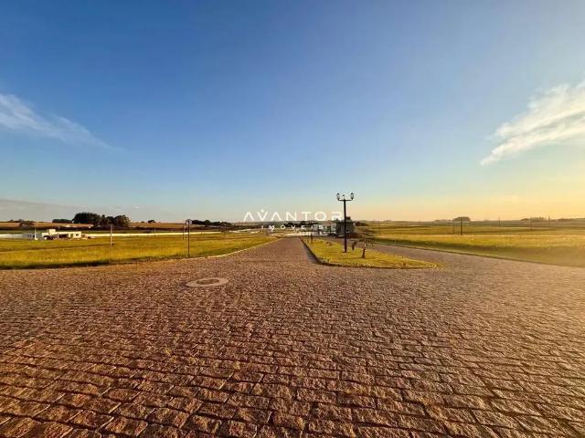 Terreno / Lote para Venda em Santa Maria/RS Camobi