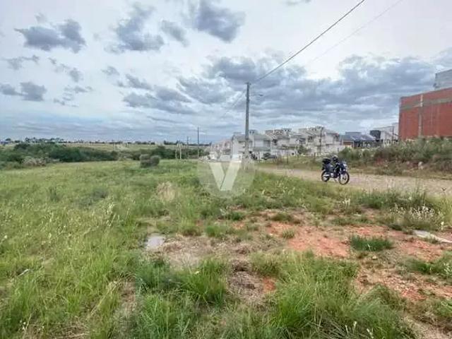 Terreno / Lote para Venda em Santa Maria/RS Camobi