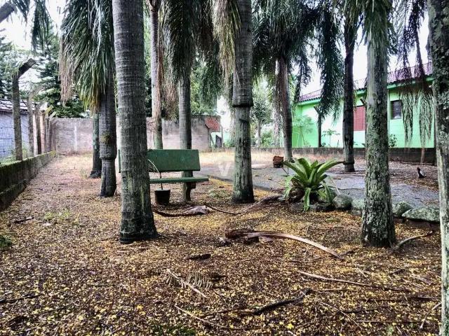 Terreno / Lote para Venda em Santa Maria/RS Camobi