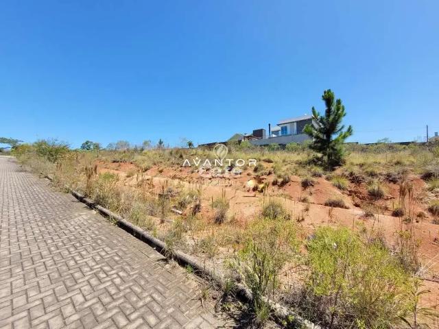 Terreno / Lote para Venda em Santa Maria/RS Camobi