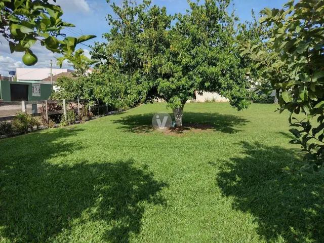 Terreno / Lote para Venda em Santa Maria/RS Camobi