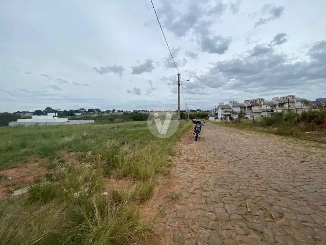 Terreno / Lote para Venda em Santa Maria/RS Camobi