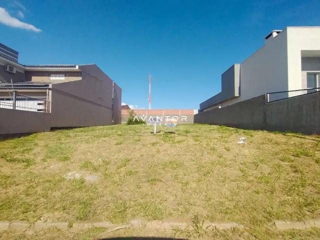 Terreno / Lote para Venda em Santa Maria/RS Camobi