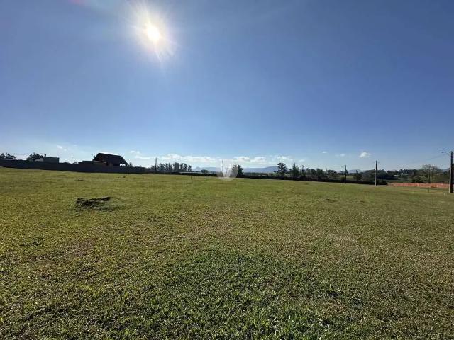Terreno / Lote para Venda em Santa Maria/RS Camobi