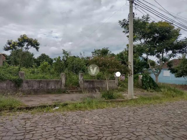 Terreno / Lote para Venda em Santa Maria/RS Camobi