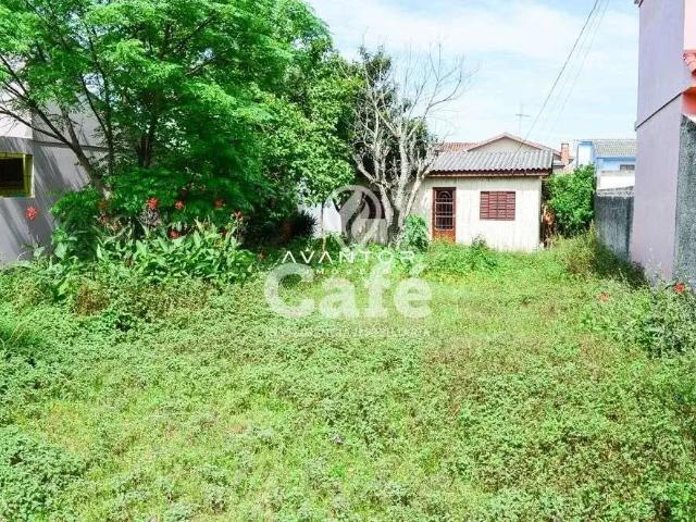 Terreno / Lote para Venda em Santa Maria/RS Camobi