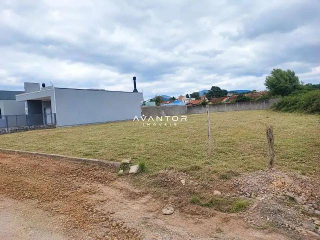 Terreno / Lote para Venda em Santa Maria/RS Camobi