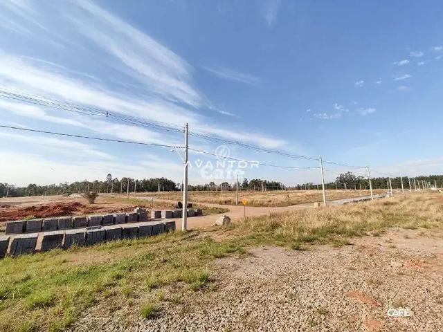 Terreno / Lote para Venda em Santa Maria/RS Camobi