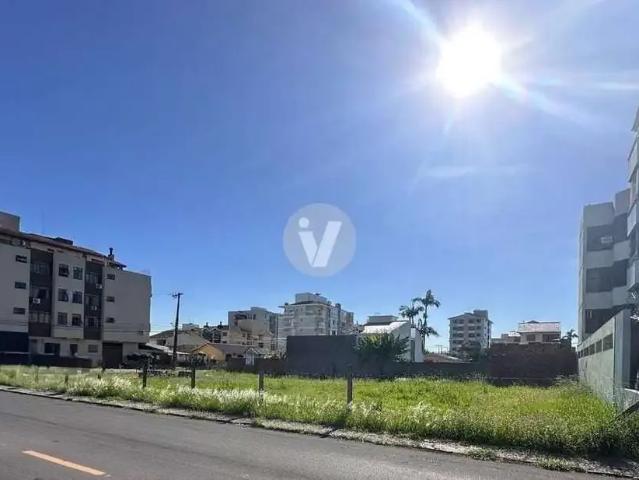 Terreno / Lote para Venda em Santa Maria/RS Camobi