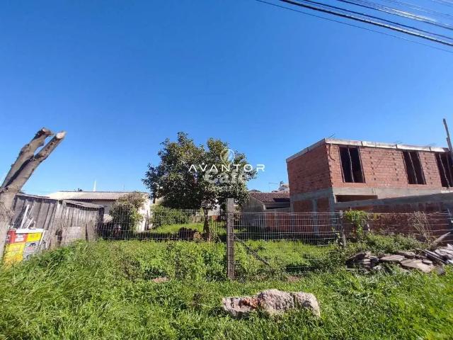 Terreno / Lote para Venda em Santa Maria/RS Camobi