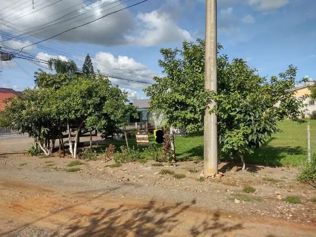 Terreno / Lote para Venda em Santa Maria/RS Camobi