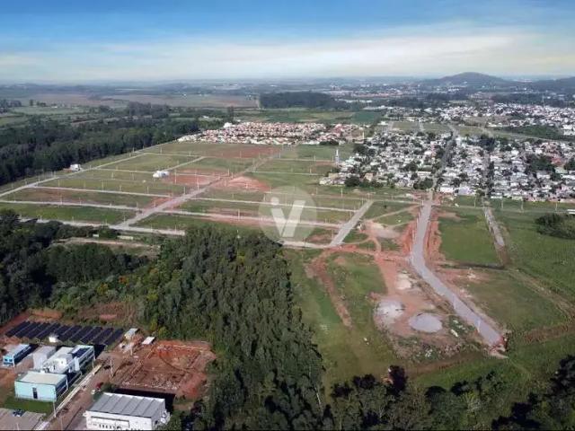 Terreno / Lote para Venda em Santa Maria/RS Camobi