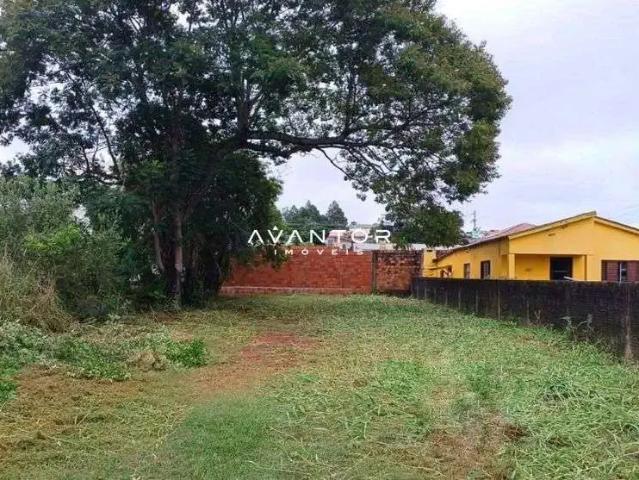 Terreno / Lote para Venda em Santa Maria/RS Camobi