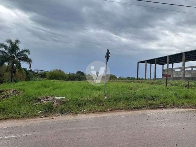 Terreno / Lote para Venda em Santa Maria/RS Camobi