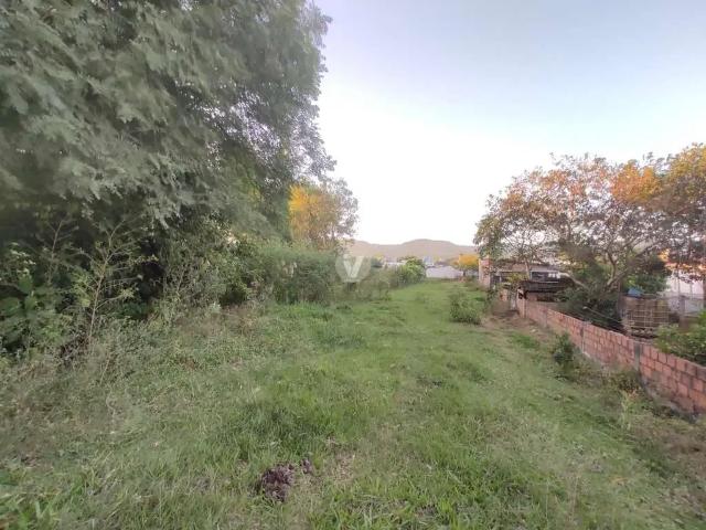 Terreno / Lote para Venda em Santa Maria/RS Camobi