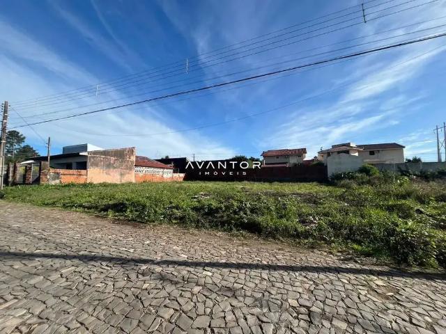Terreno / Lote para Venda em Santa Maria/RS Camobi