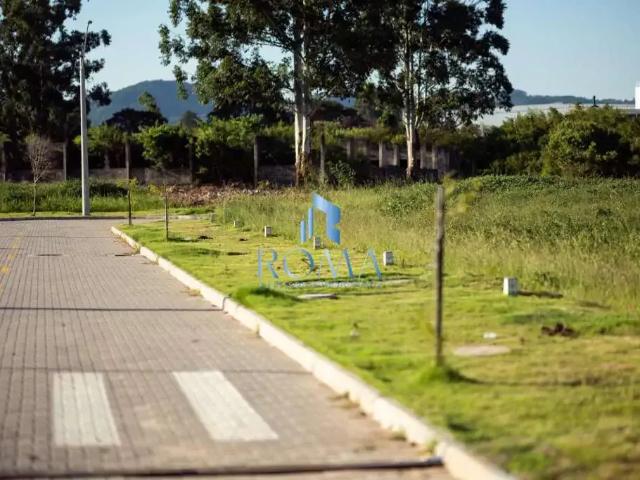 Terreno / Lote para Venda em Santa Maria/RS Camobi