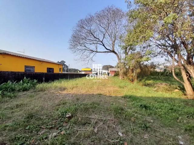 Terreno / Lote para Venda em Santa Maria/RS Camobi