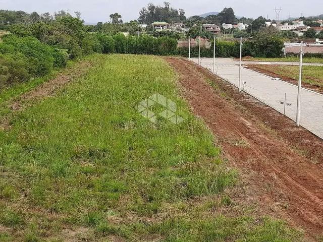Terreno / Lote para Venda em Santa Maria/RS Camobi