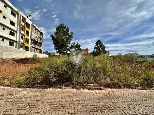 Terreno / Lote para Venda em Santa Maria/RS Camobi
