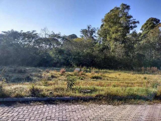 Terreno / Lote para Venda em Santa Maria/RS Camobi